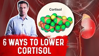 6 Ways To Lower Cortisol Levels – Cortisol Stress Hormone – Dr Berg [upl. by Korb972]