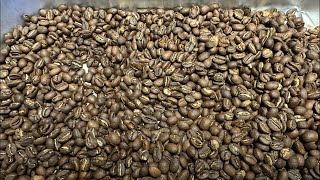 Live  quotWhy Freshly Roasted Coffee Might Be Ruining Your Brewquot [upl. by Enetsuj]