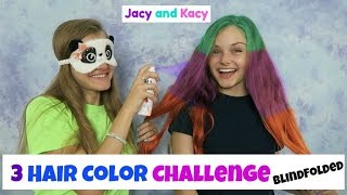 3 Hair Color Challenge  Blindfolded  Jacy and Kacy [upl. by Ellemac]