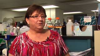 UT Veterinary Virologist Discusses Canine Distemper Virus [upl. by Etnaed]