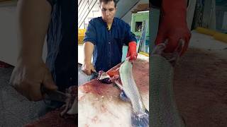 No boning of salmon and roe fishcutting [upl. by Assilem845]