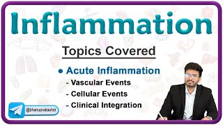 Acute Inflammation Vascular and Cellular events with Clinical integration 💥  Pathology Lecture 3 [upl. by Anirdua]