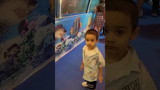 Fish Aquarium tunnel trending tunnelaquarium video hogatumsepyarakon song shorts [upl. by Nnylak]