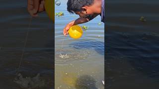 🐬How to Catch Big Fish with Balloon  Catch Big Fish With Ballon part6 shorts ikan peste [upl. by Assiran]