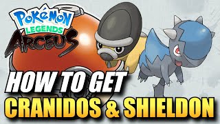 Pokemon Legends Arceus  How To Get Cranidos amp Shieldon  Cranidos amp Shieldon Location [upl. by Clementi]