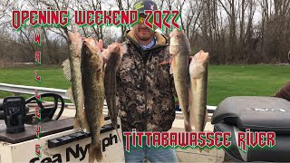 Walleye Season Opener 2022 Tittabawassee River LIMITS [upl. by Mailli]