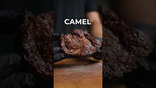 Dry Aged Camel [upl. by Pellet]