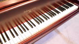 1907 Sohmer Baby Grand Your Song [upl. by Enymzaj]