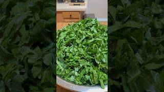 GET YOUR GREENS HERE FOR THANKSGIVING Jacksonville FL food [upl. by Sabina]