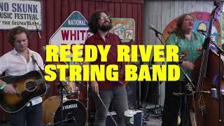 Reedy River String Band live at the Albino Skunk Festival [upl. by Yoshi]