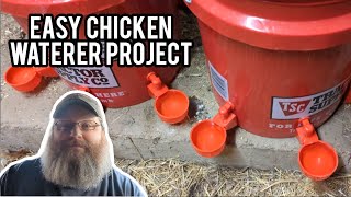 How to Make a Chicken Waterer  homesteading chicken [upl. by Ennairam102]