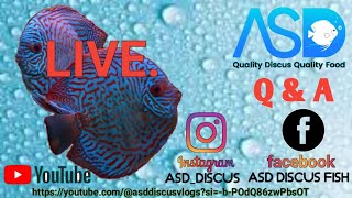 ASD DISCUS VLOGS is live [upl. by Hadlee133]