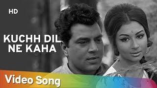 Kuchh Dil Ne Kaha  Dharmendra  Sharmila Tagore  Anupama  Lata  Evergreen Hindi Songs [upl. by Titos]