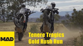 Tenere 700  Tenere Tragics Gold Rush Run  Motorcycle Adventure [upl. by Shiller]