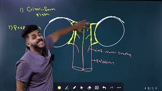 Ethmoid bone تشريح بالعربي [upl. by Dnalyag]