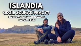 Islandia 13  Gdzie szukać pracy  40 ŹRÓDEŁ  Zarobki powyżej 10 000 zł  Darmowe zakwaterowanie [upl. by Flory]