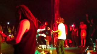 Tribal Seeds  Libertad Live HD [upl. by Emlyn917]