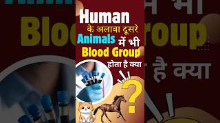 Blood Types Of Other Animals bloodgroup motivationbloodtype [upl. by Akinnej]