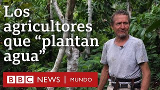 Los agricultores que convirtieron un desierto en un bosque  BBC Mundo [upl. by Keslie]