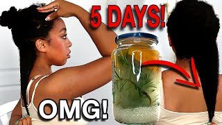 THE MOST POWERFUL RICE WATER FOR EXTREME HAIR GROWTH  HOW TO MAKE RICE WATER FOR SUPER HAIR GROWTH [upl. by Rombert]