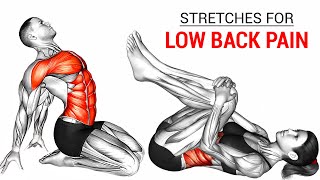 Best Back and Core Exercises For Lower Back Pain [upl. by Liponis465]