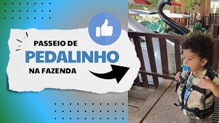 Vamos comigo andar de pedalinho Minha primeira vez 😹 [upl. by Orazal]