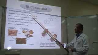 Salkowskis test Part 1 Identification of Cholesterol [upl. by Mur]