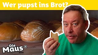 Wie kommen die Löcher ins Brot  Die Maus  WDR [upl. by Aley107]