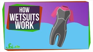 How Do Wetsuits Keep You Warm [upl. by Rana]