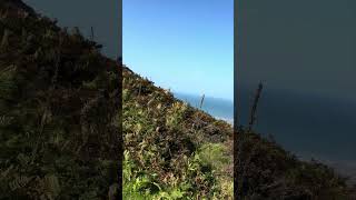 Gower Coast Walk Rhossili Bay – Nearing the top [upl. by Kai]