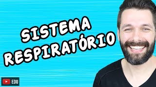 SISTEMA RESPIRATÓRIO  FISIOLOGIA  Biologia com Samuel Cunha [upl. by Candis]