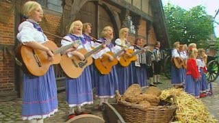 Mühlenhof Musikanten  Freesenhochtied 1998 [upl. by Shandy]