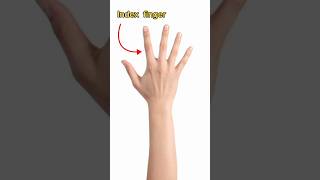 Learn fingers namepronunciation [upl. by Des431]