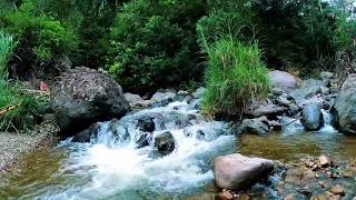 Clear River ASMR  Running Water Sounds for Deep Meditation [upl. by Ecreip]