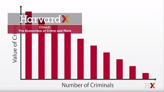 The Economics of Crime and Riots [upl. by Ylrebma143]