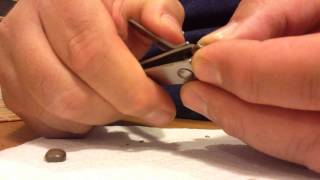 Jatropha seed scarification using toenail clippers [upl. by Borden]