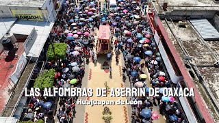 La CIUDAD de las ALFOMBRAS  Huajuapan de León ✅ más de 5 kilómetros de tapetes de aserrin 🤯 [upl. by Aroved]