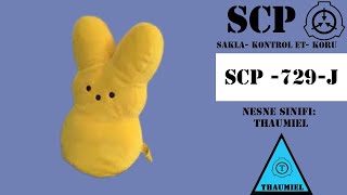 SCP 729J Thaumiel [upl. by Nordine]