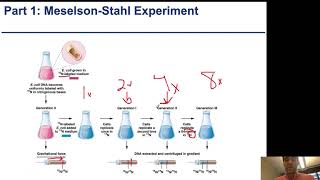 Chapter11  2  Semiconservative Replication [upl. by Wilie661]