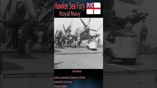 Hawker Sea Fury [upl. by Vivianne447]