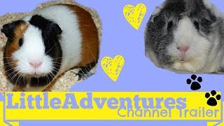 Little Adventures Channel Trailer [upl. by Ferne]