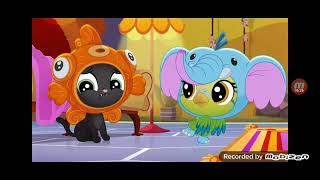 Littlest Pet Shop A World Of Our Own Episode 49  Curiosity And Cats [upl. by Acinorahs]