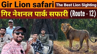 Gir Lion Safari  Gir National Park Route  12 Jungle Safari  Sasan Gir Gujarat  Wildlife safari [upl. by Janel223]