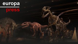 El CaixaForum Madrid muestra una réplica del esqueleto del mayor dinosaurio conocido [upl. by Ithaman67]