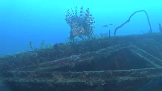 Wreck Dive Sint Maarten  Porpoise [upl. by Dupaix]