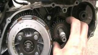 how to replace timing chain on honda XL250  part 1 of 2 Davidsfarmisonbliptvnow [upl. by Adnawot]