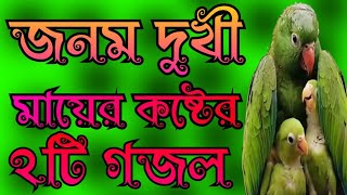 খুবই দুঃখের মায়ের কষ্টের সেরা মায়াবী কন্ঠে মন প্রাণ জুড়ানো ২টি গজল Nice Ghazal tv [upl. by Arihay]