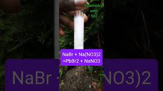 PbNO32  lead nitrate  Halide test science experiment [upl. by Notselrahc62]