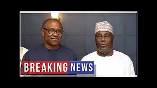 Breaking News  2019 We are for AtikuObi — Action Alliance [upl. by Nwonknu]