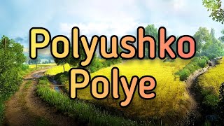 Origa  Polyushko Polye Lyrics [upl. by Silvio]